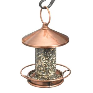 Bird Feeders |   Classic Cylinder Perch Bird Feeder In Antiqued Copper And Plexiglass Bird Feeders Bird Feeders