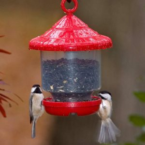 Bird Feeders |   Clinger Hanging Bird Feeder Bird Feeders Bird Feeders