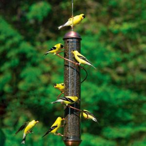 Bird Feeders |   Copper-Colored Spiral-Perch Finch Bird Feeder Bird Feeders Bird Feeders