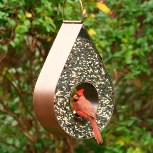 Bird Feeders |   Copper Tear Drop Bird Feeder Bird Feeders Bird Feeders