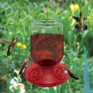 Bird Feeders |   Dr. Jb’s 48-Ounce Switchable Size Hummingbird Feeder Bird Feeders Bird Feeders