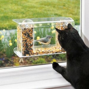 Bird Feeders |   One-Way Mirror Window Mount Bird Feeder Bird Feeders Bird Feeders