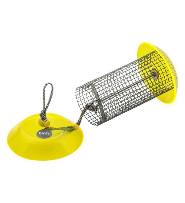 Bird Feeders |   Small Sunflower Seed Bird Feeder Bird Feeders Bird Feeders