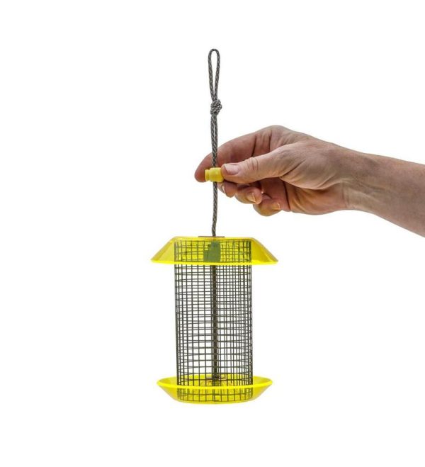 Bird Feeders |   Small Sunflower Seed Bird Feeder Bird Feeders Bird Feeders