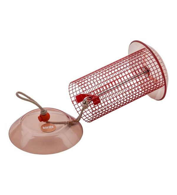 Bird Feeders |   Small Sunflower Seed Bird Feeder Bird Feeders Bird Feeders