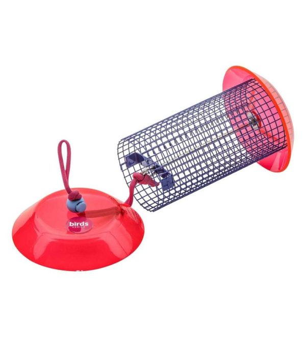 Bird Feeders |   Small Sunflower Seed Bird Feeder Bird Feeders Bird Feeders