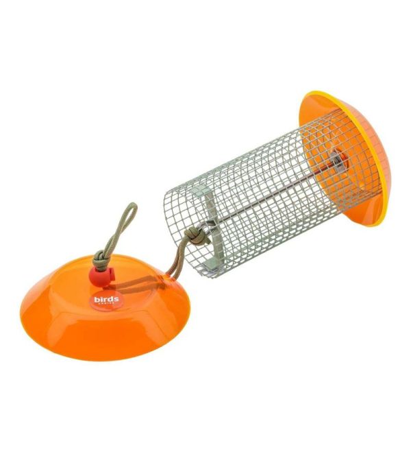 Bird Feeders |   Small Sunflower Seed Bird Feeder Bird Feeders Bird Feeders