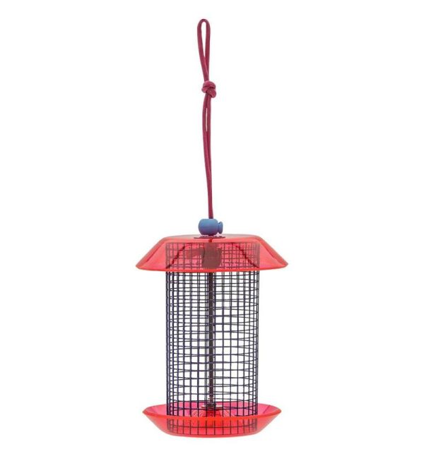 Bird Feeders |   Small Sunflower Seed Bird Feeder Bird Feeders Bird Feeders