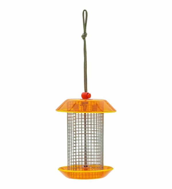 Bird Feeders |   Small Sunflower Seed Bird Feeder Bird Feeders Bird Feeders