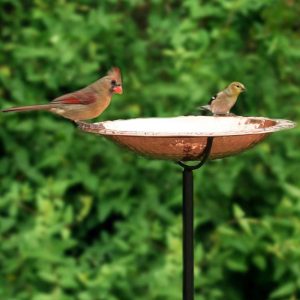 Birdbaths |   Pure Copper Birdbath On Powder-Coated Steel Pole With Sturdy Three-Prong Stake Birdbaths Birdbaths