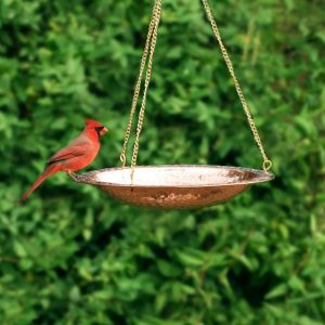 Birdbaths |   Pure Copper Hanging Birdbath On 17" Long Brass Chain With Hook Birdbaths Birdbaths