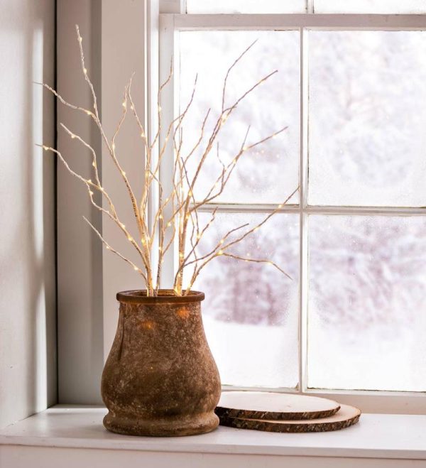 Decorative Accents |   Indoor/Outdoor Lighted Birch Branches, Set Of 2 Decorative Accents Brown