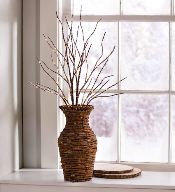 Decorative Accents |   Indoor/Outdoor Lighted Birch Branches, Set Of 2 Decorative Accents Brown