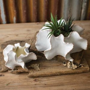 Decorative Accents |   Organic Ceramic Planters Set Of 2 Decorative Accents Decorative Accents