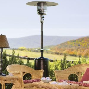 Outdoor Clean Up |   Freestanding Steel Propane Patio Heater With Adjustable Table Garden Tools & Supplies Outdoor Clean Up