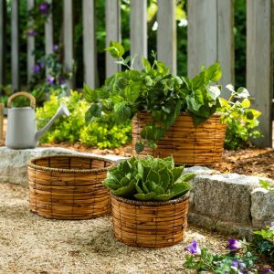 Planters & Plant Stands |   Indoor/Outdoor Nested Reed Basket Planters, Set Of 3 Garden Tools & Supplies Planters & Plant Stands