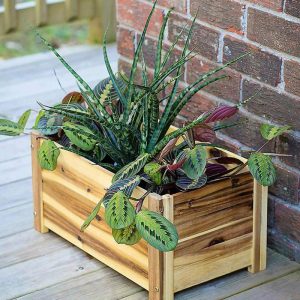 Planters & Plant Stands |   Rectangle Acacia Wood Planter Garden Tools & Supplies Planters & Plant Stands