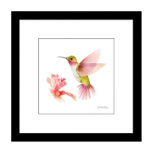 Wall Art |   Broad Tailed Hummingbird Framed Wall Art Painting Home Accents Wall Art