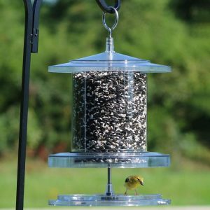 Bird Feeders |   All-Weather 4-Quart Clear Feeder Bird Feeders Bird Feeders