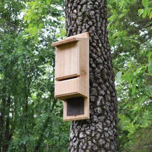 Wildlife Housing |   Red Cedar Mini Bat Tower Birds And Nature Eco-Friendly Pest Control