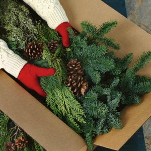 Deck & Patio Accents |   Holiday Woodland Evergreens 7 Lb. Box Of Greens Deck & Patio Accents Deck & Patio Accents